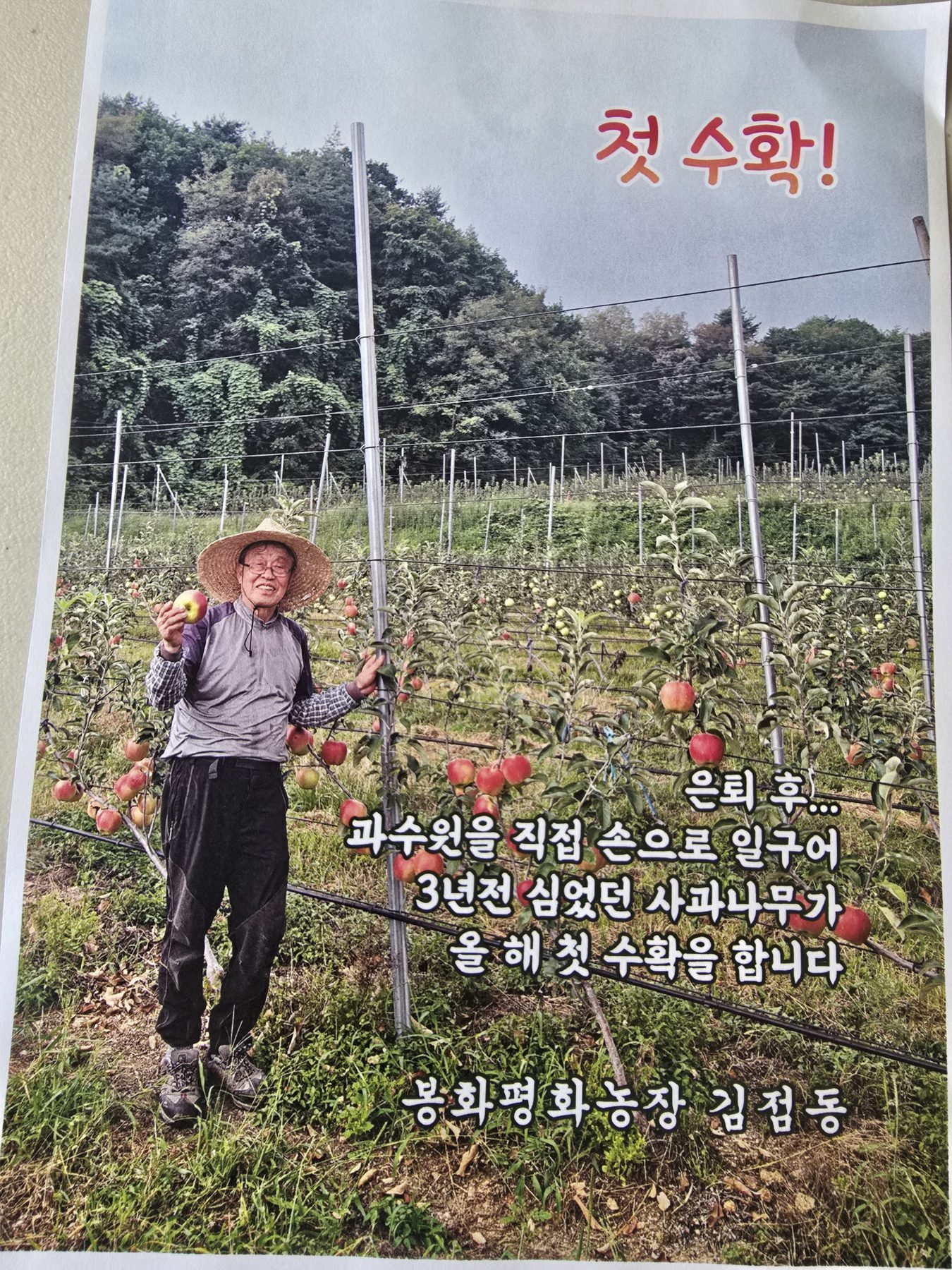첫 수확 홍보물 — 사과를 든 김점동 목사